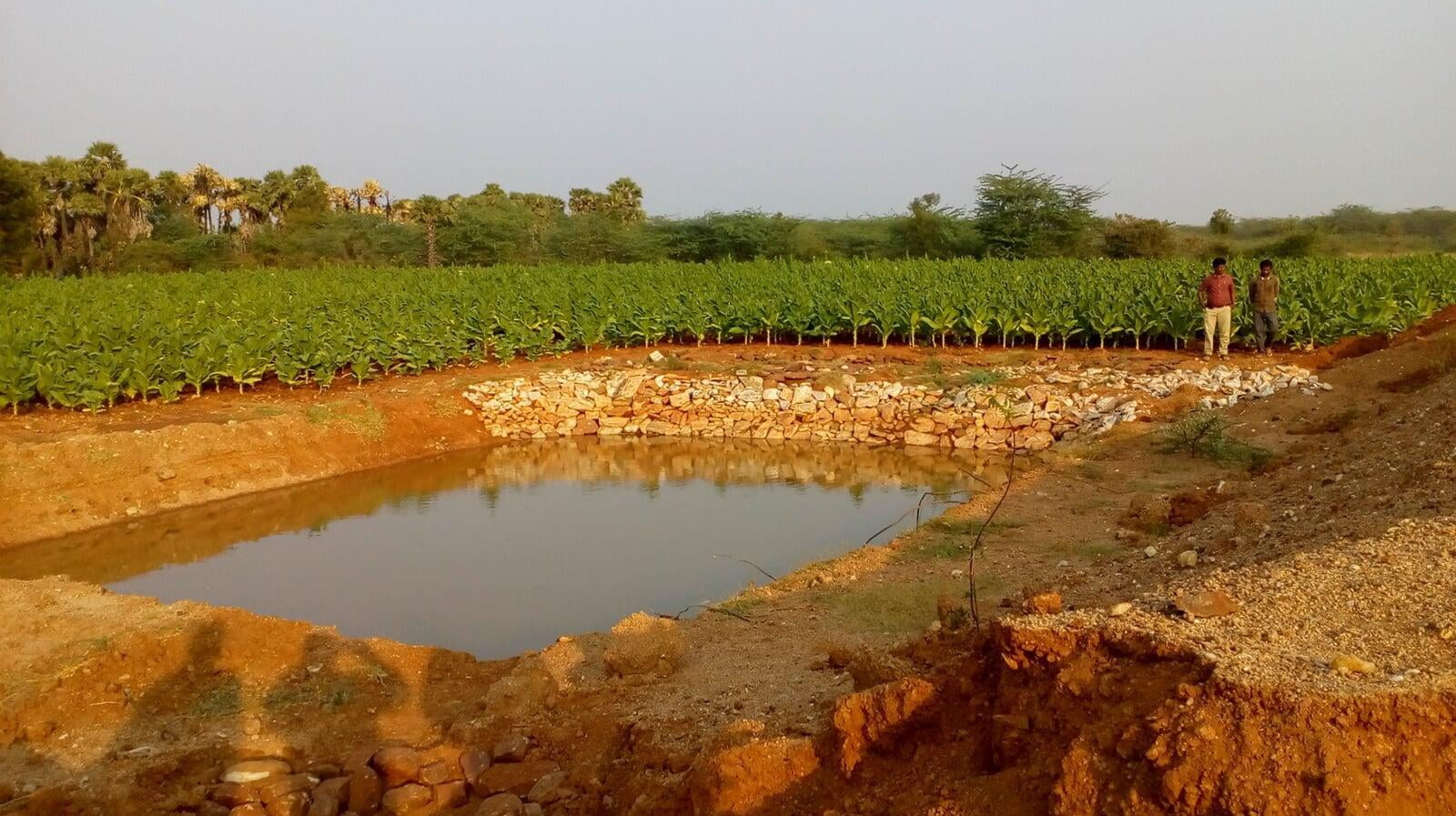 Watershed Development in Dry Land Areas